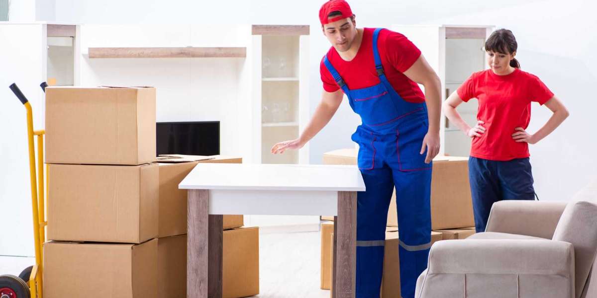 How to Choose the Right Moving Company: A Guide from Noida Home Packers Movers?