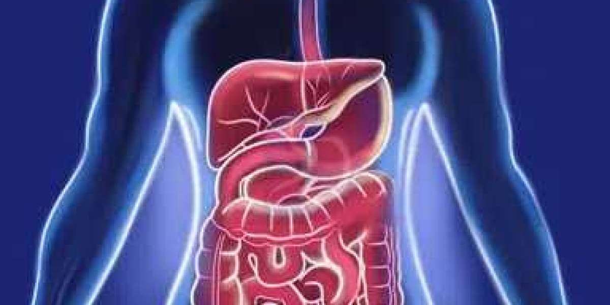 Gastroenterology Services: What You Need to Know