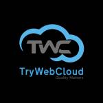 TryWeb Cloud Profile Picture