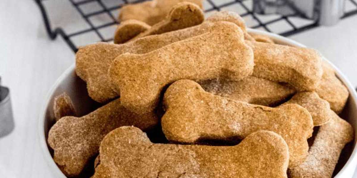 Homemade Treats for Your Furry Friend: Easy and Healthy Recipes for Dogs and Cats