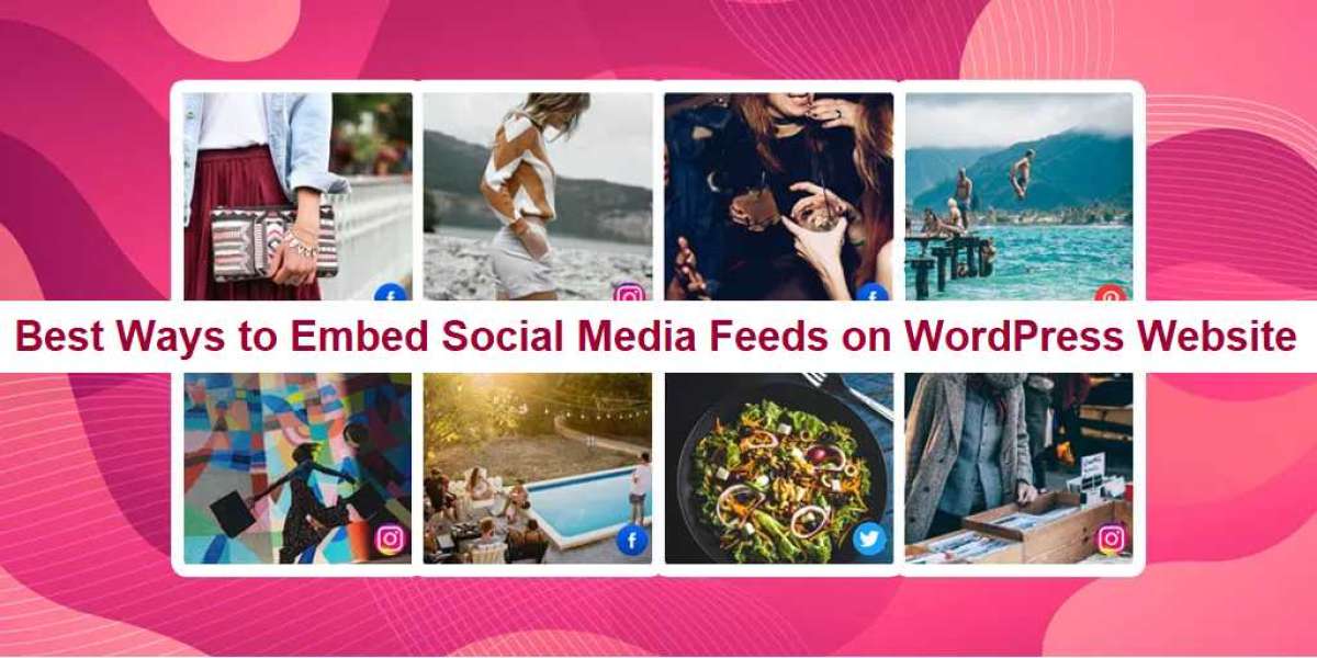 Best Ways to Embed Social Media Feeds on WordPress Website