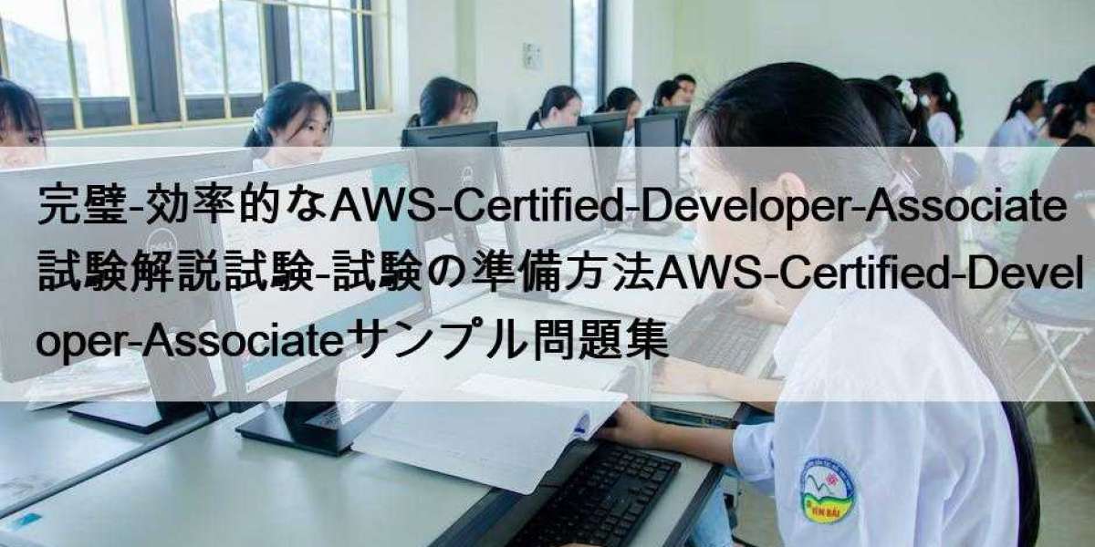 完璧-効率的なAWS-Certified-Developer-Associate試験解説試験-試験の準備方法AWS-Certified-Developer-Associateサンプル問題集