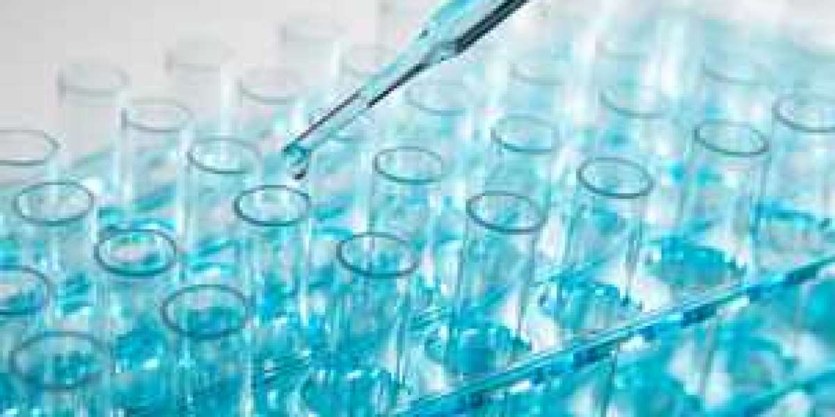 Global Bioprocess Validation Market Size, Overview, Key Players and Forecast 2028