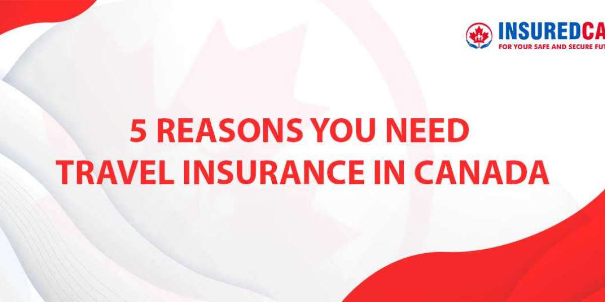 5 Reasons You Need Travel Insurance in Canada