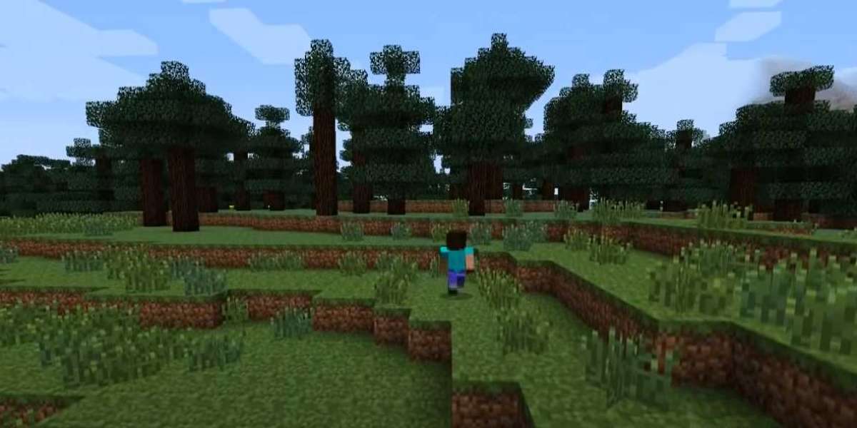What is Minecraft and Minecraft Guide to Survival (Updated)