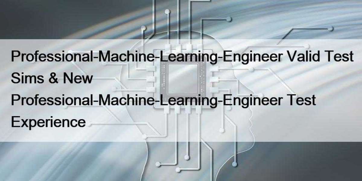 Professional-Machine-Learning-Engineer Valid Test Sims & New Professional-Machine-Learning-Engineer Test Experience