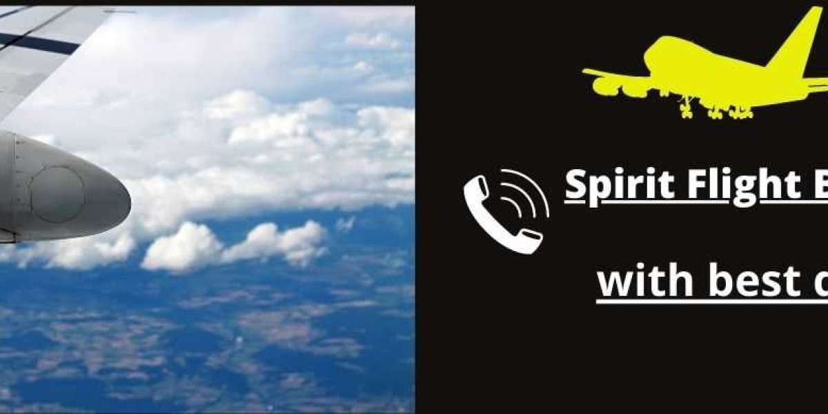 book cheapest flight on spirit airlines reservations