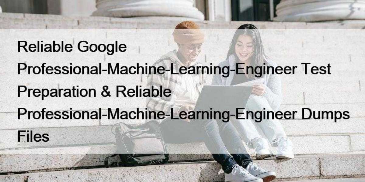 Reliable Google Professional-Machine-Learning-Engineer Test Preparation & Reliable Professional-Machine-Learning-Eng