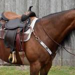 Western Saddle Profile Picture