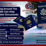 passportrenewlonline profile picture