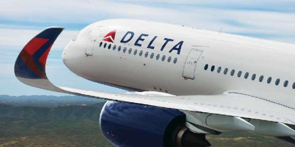 Delta Airlines group travel