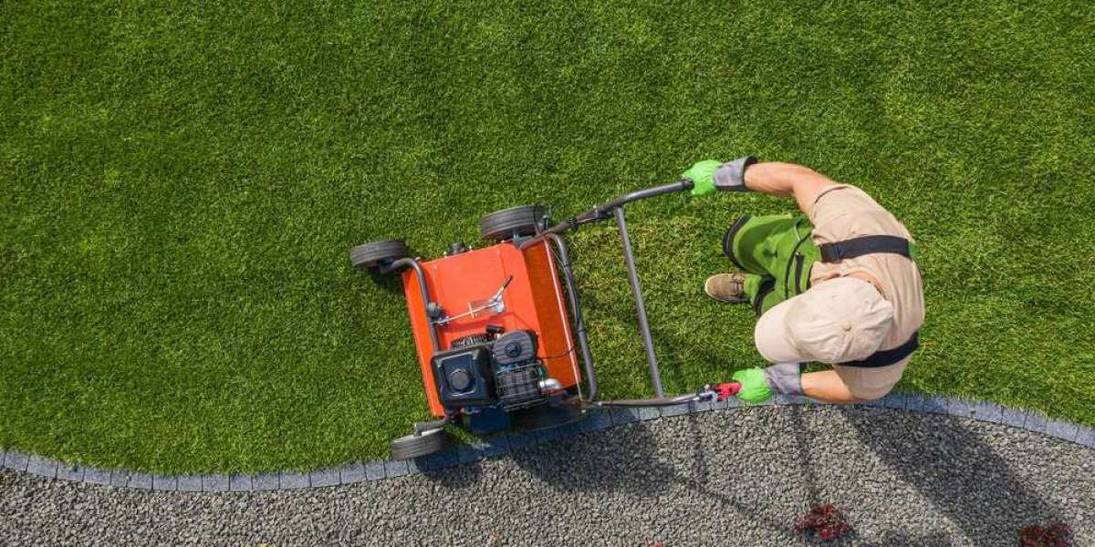 Why aerating your lawn in Bellingham is important