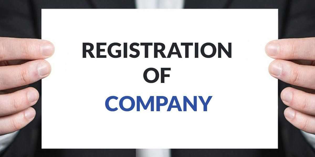 How to Check Company Registration Number in MCA Master Data?
