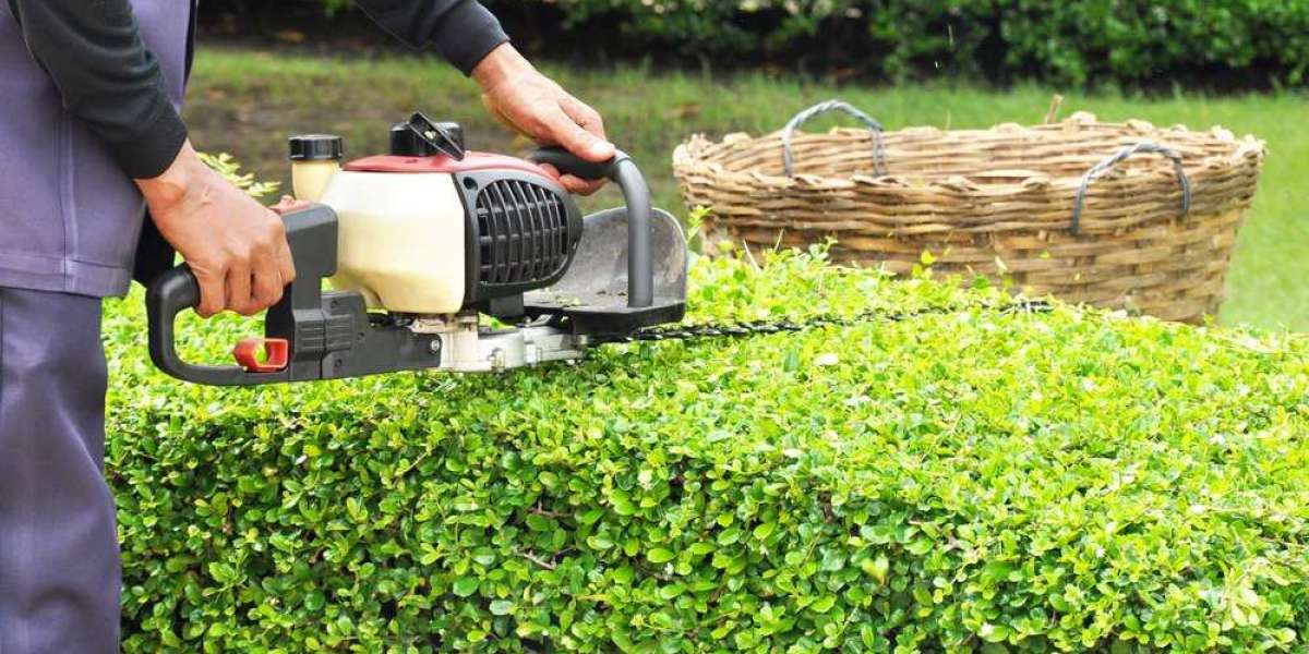 Get hedge trimming service in bellingham