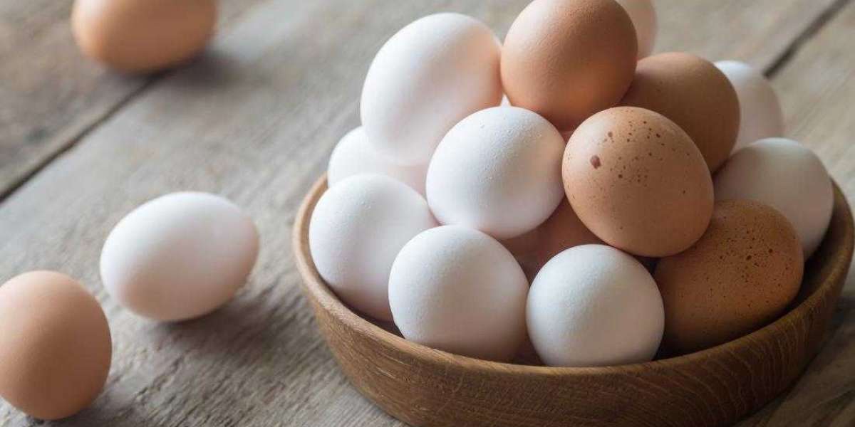 Are Eggs Beneficial for Male Impotence?