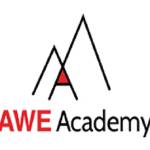 AWE Academy Profile Picture