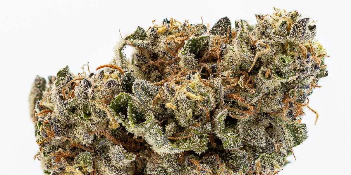 Exploring the Flavor of Apple Mintz Strain: A Refreshing Experience