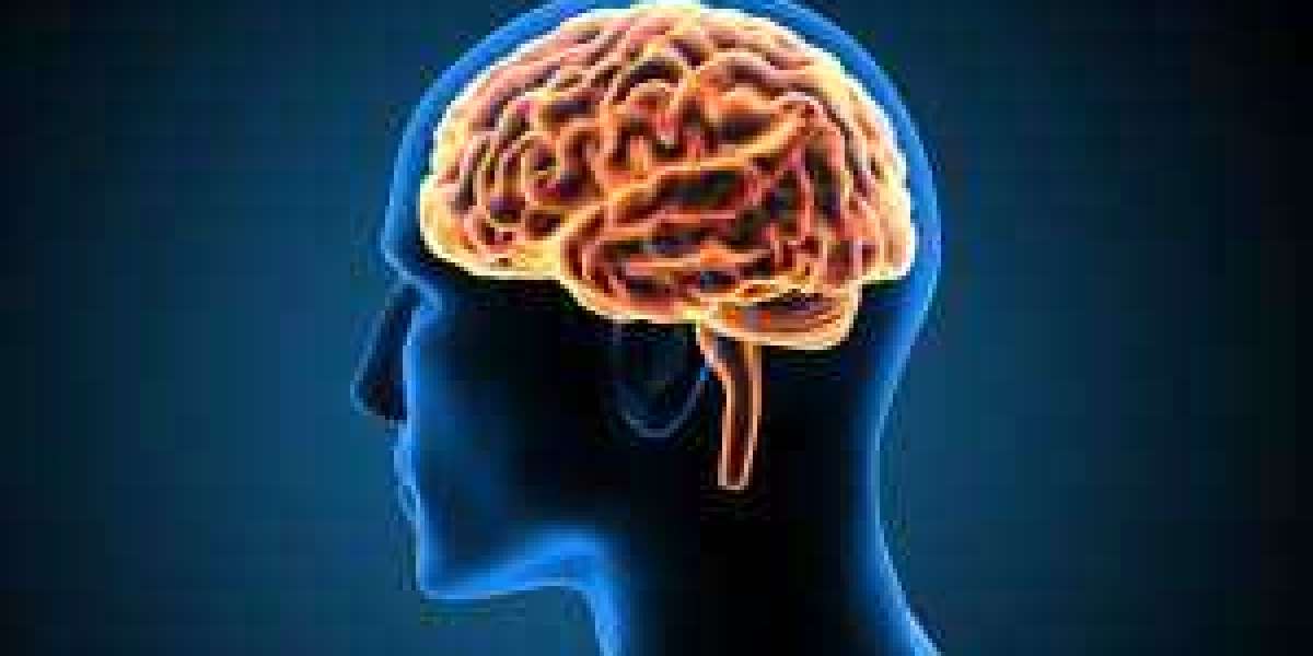 10 Interesting Facts About The Human Brain