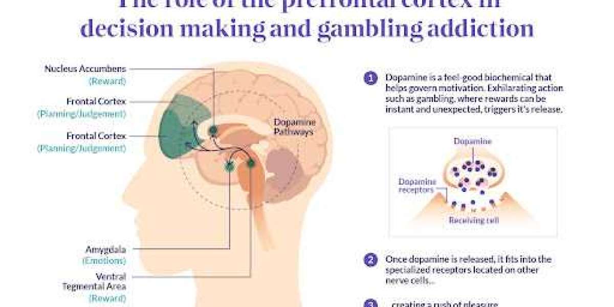 Learning the Science Behind the Psychology of Gambling Dependence with VN88 Rezence
