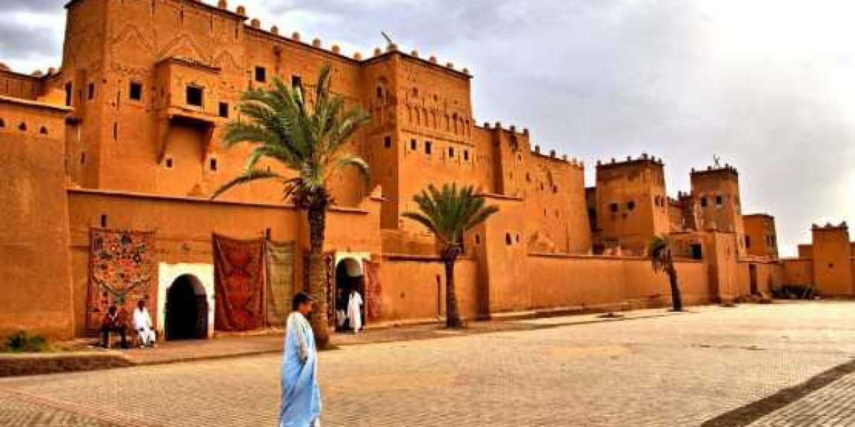 A Taste of Morocco: Culinary Tours and Food Adventures
