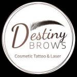 Destiny Brows Cosmetic Tattoo and Laser Profile Picture