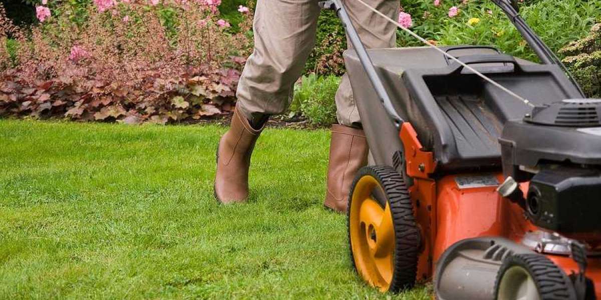 Grab The Best lawn Mowing Services In Bellingham