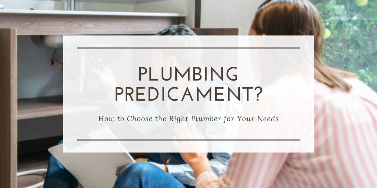 Plumbing Predicament? How to Choose the Right Plumber for Your Needs