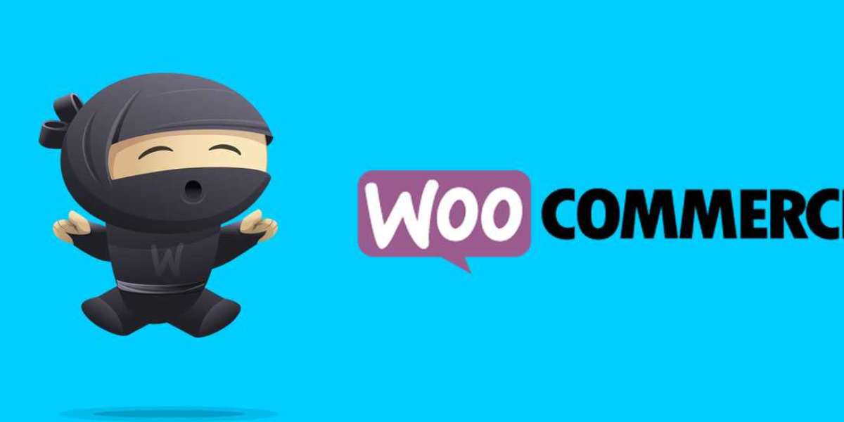 What are the best Woocommerce plugins for Singapore businesses?