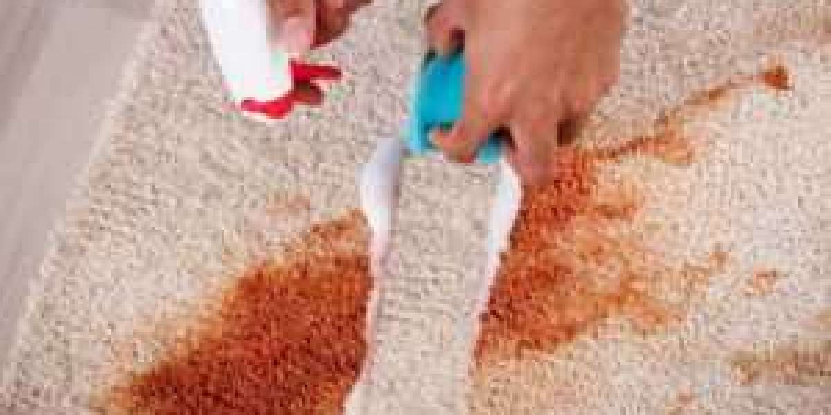 The Importance of Regular Carpet Cleaning for Maintaining Indoor Air Quality