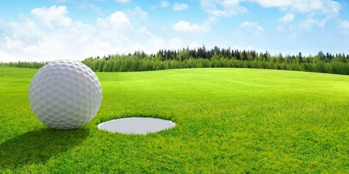 Golf Betting Tips – How to Make a Success of It