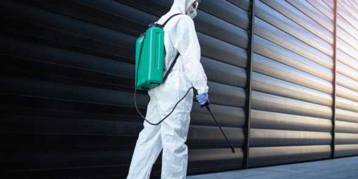 Professional Wasp Removal Services Melbourne