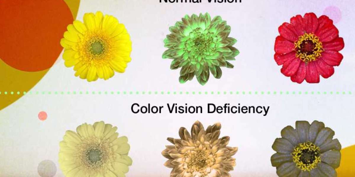 Understanding color blindness and its symptoms