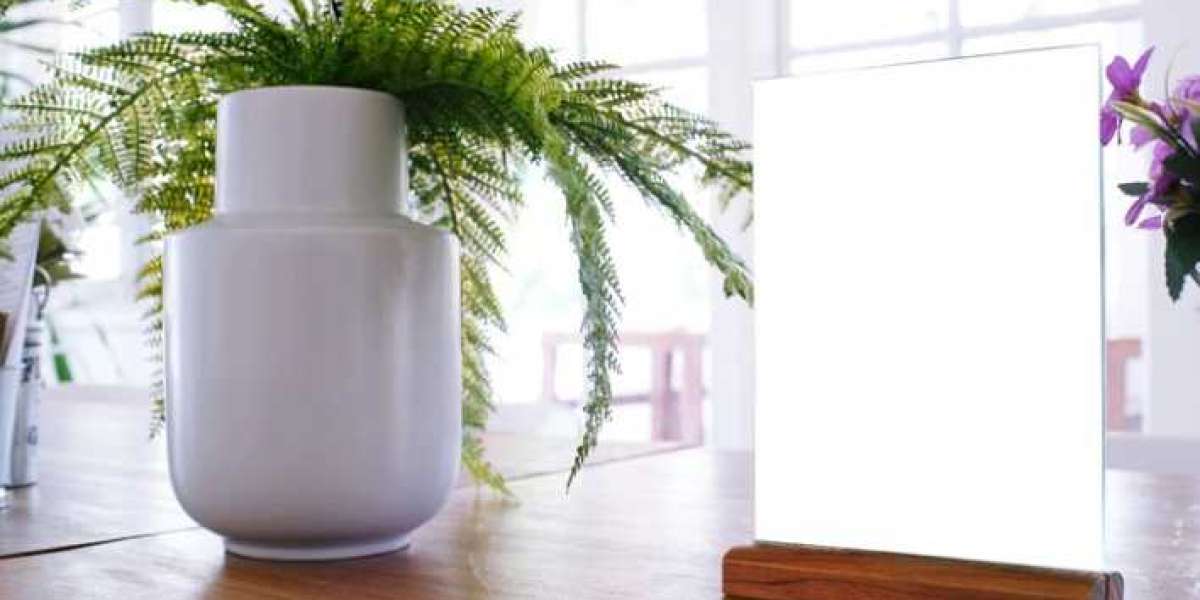 The Impact of Plant Air Purifiers on Health and Well-Being