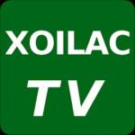 XOILACTV Profile Picture