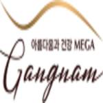 Mega Gangnam Profile Picture