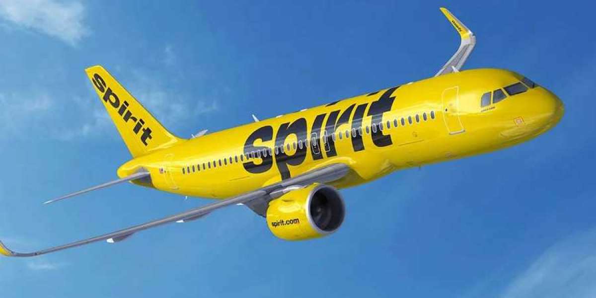 Does Spirit Airlines Have Group Travel?