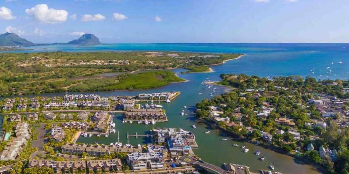 Guide to Obtaining a Business Permit in Mauritius: Requirements and Process