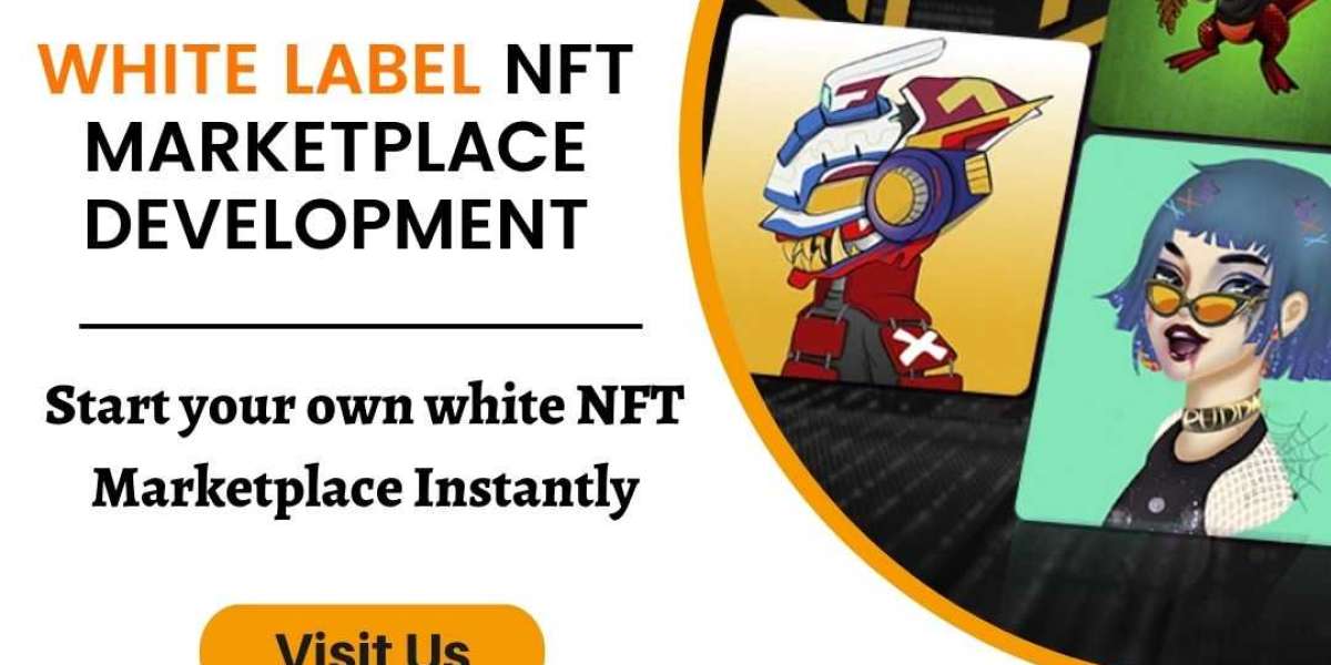 How To Start A Business With White-Label NFT Marketplace Development