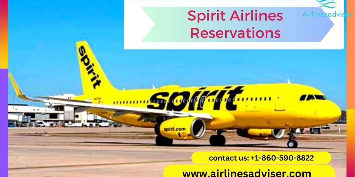 Spirit Airlines Reservations Flight Policy?