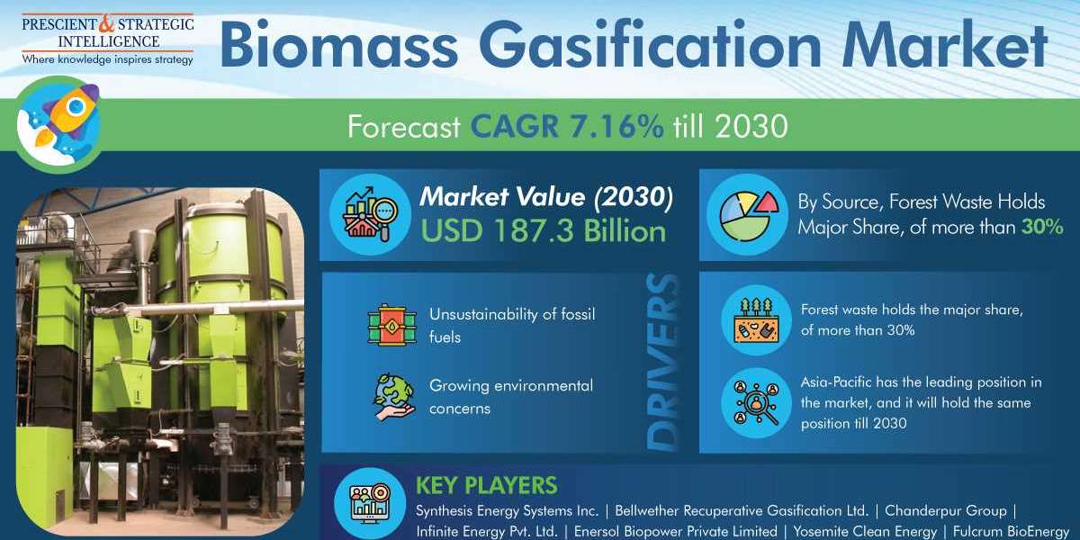 Biomass Gasification Market Projection, Technological Innovation And Emerging Trends 2030