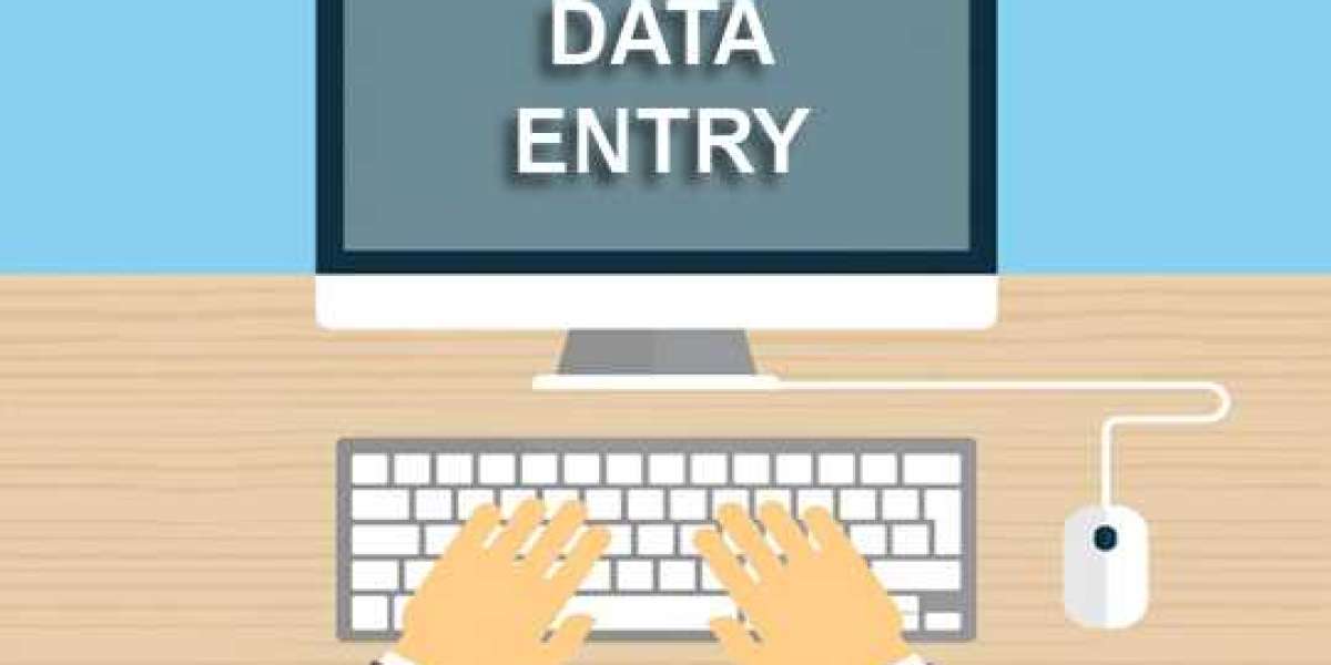 Grow Your Startup with AscentBPO's Data Entry Projects
