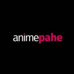 Animepahe info Profile Picture