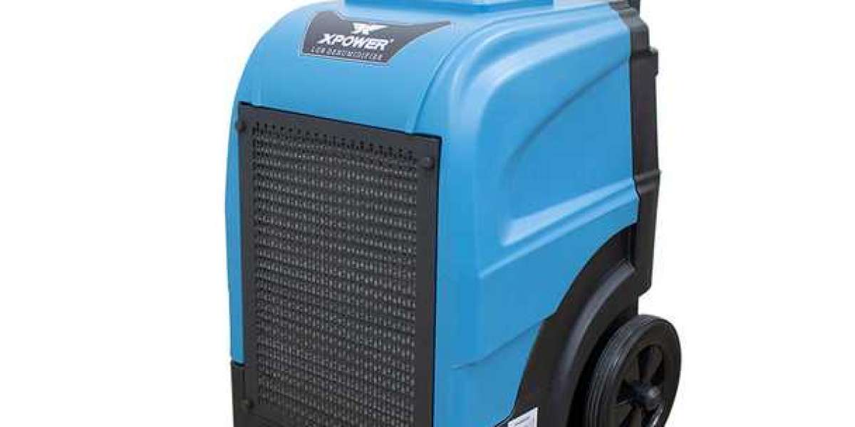 How to Choose the Right Xpower Australia Commercial Dehumidifier for Your Business