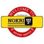 nokripur nokripur profile picture