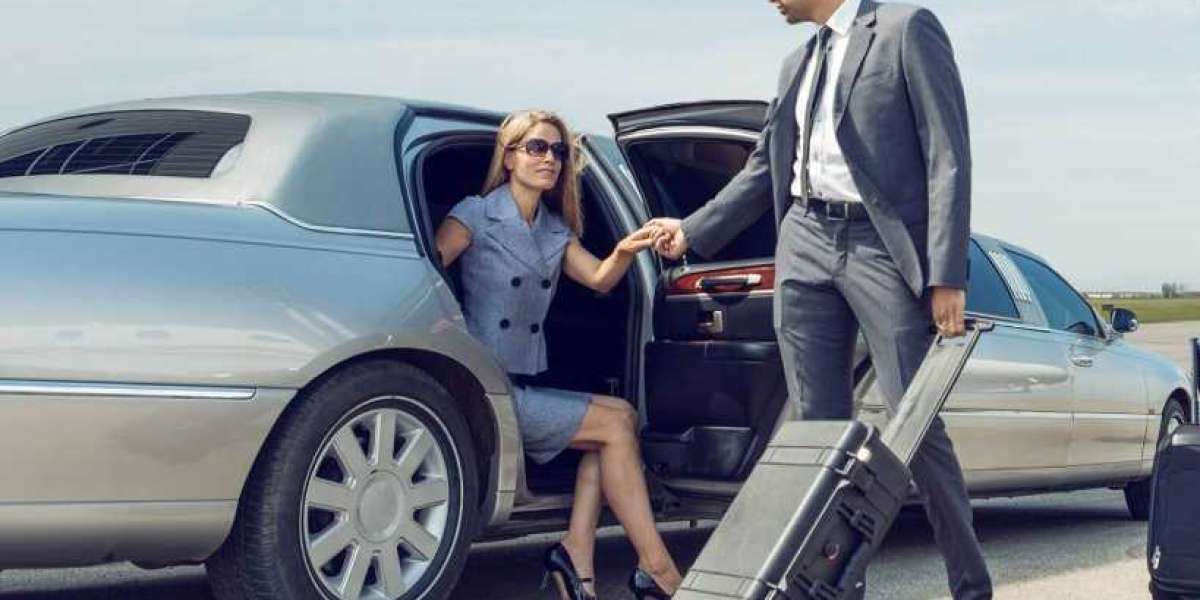 What factors should you consider when choosing a daily chauffeur service provider?