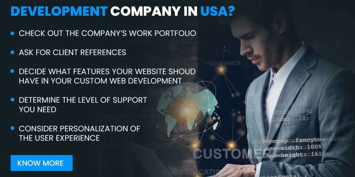 Choosing a Custom Web Development Company in USA