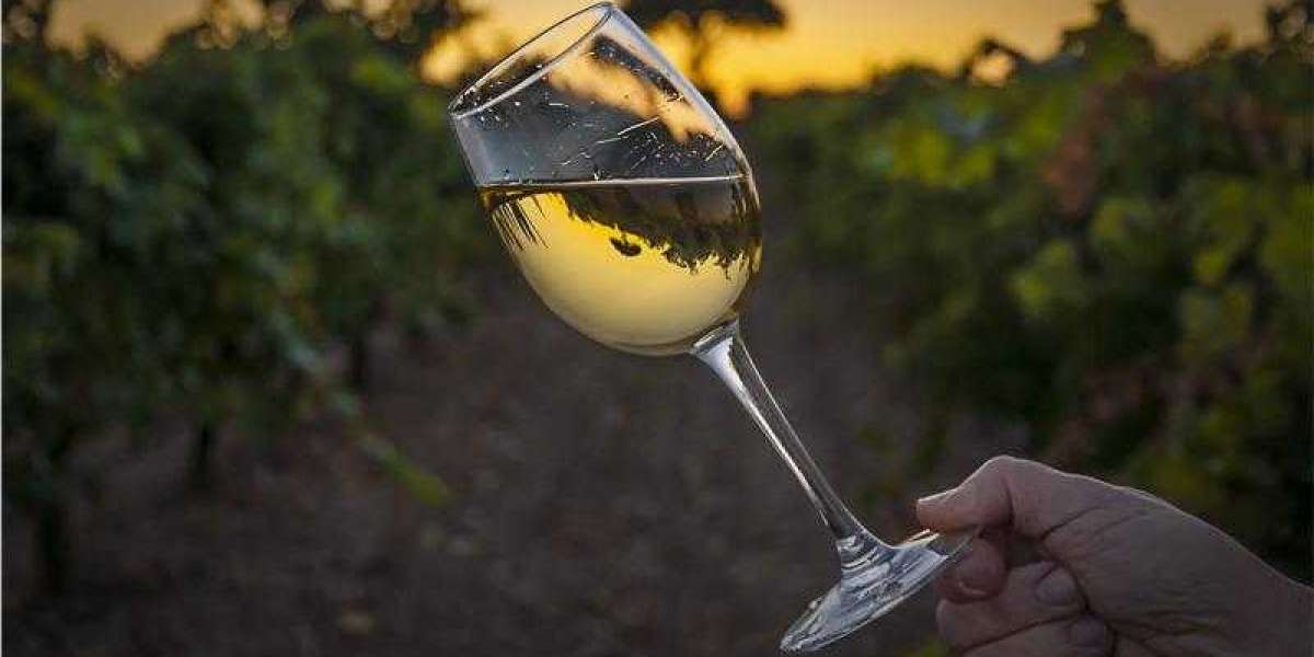 Off Dry White Wine Market Set to Witness Explosive Growth by 2033