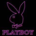 jobs play boy india Profile Picture