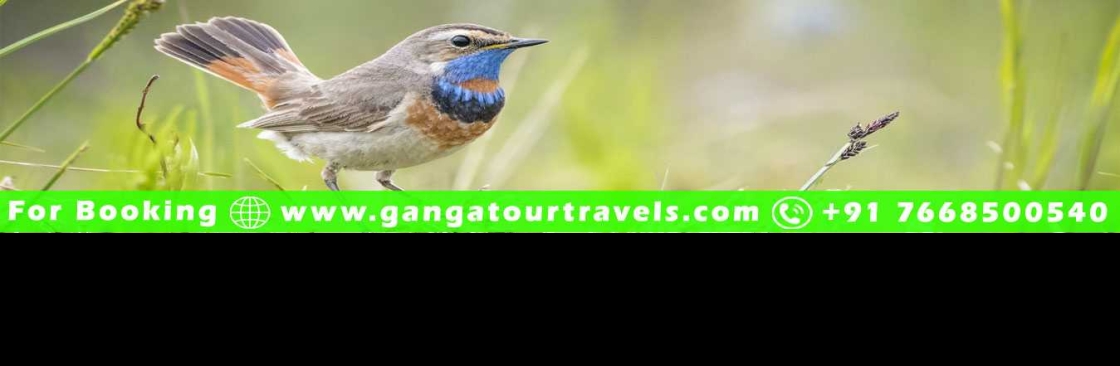 Ganga Travels Cover Image