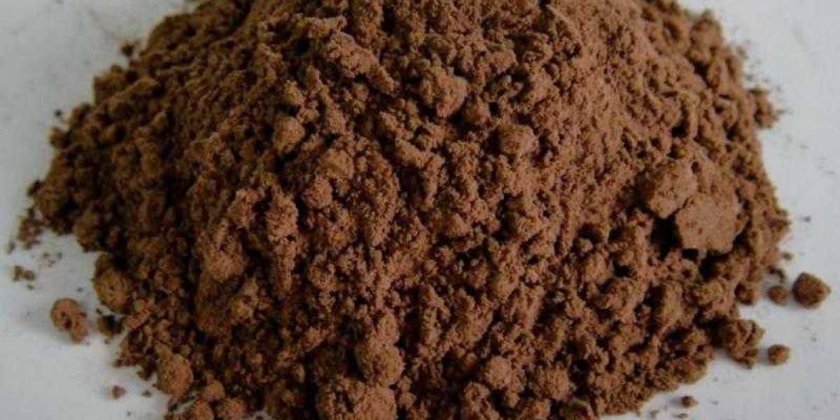 Alkalized Cocoa Powder Market Growing Demand and Huge Future Opportunities by 2033